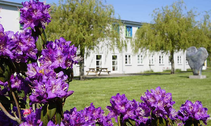 Smukke og naturlige omgivelser